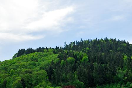 Hotel Prinzen Kappelrodeck Zewnętrze zdjęcie